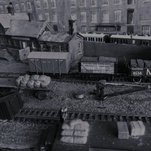 IMG_0309+1.JPEG