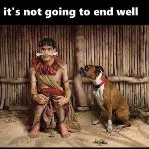 IMG_1118.jpeg
