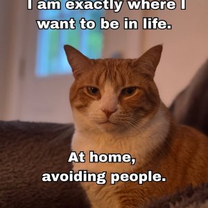 IMG_3418.jpeg