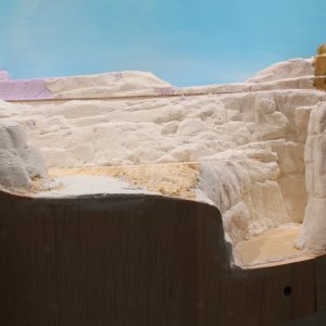 IMG_(648).JPG