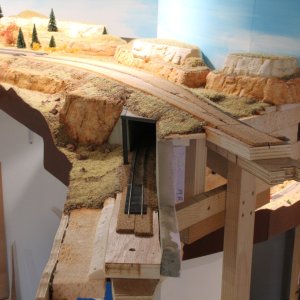 IMG_(1020).JPG