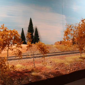 IMG_(1038).JPG