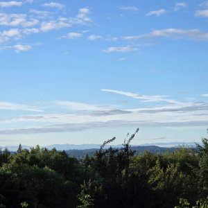 image000000 (1).jpg