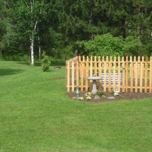 garden.JPG