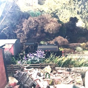 IMG_0512.JPEG