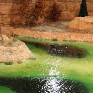 IMG_(1270).JPG