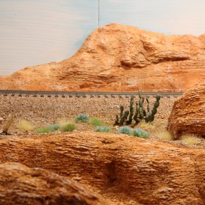 IMG_(1347).JPG