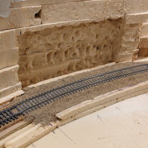 IMG_(1480).JPG