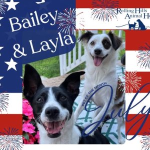 Bailey and Layla.jpg