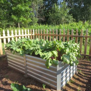 raised bed.JPG