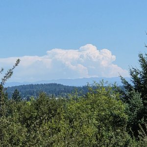 image000000 (1).jpg