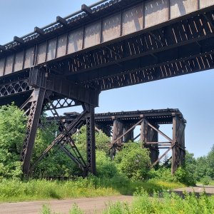 IMG_20250713_104954140_HDR.jpg