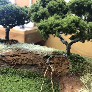 B040943D-1813-4C98-A856-CCCD6B6D4DF3.jpeg