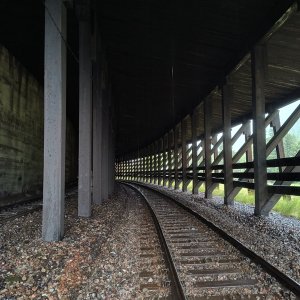 IMG_20250715_080440747_HDR.jpg