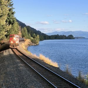 IMG_20250715_184318498.jpg