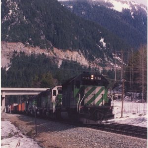 bn7178.jpg