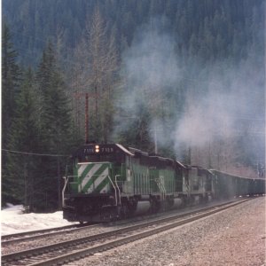 bn7115.jpg