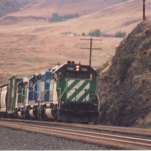 bn7086.jpg