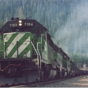 bn7168a.jpg