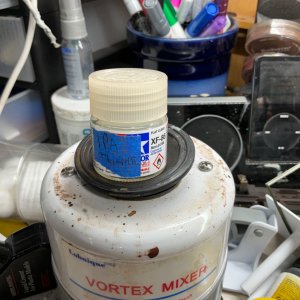IMG_1273.jpeg