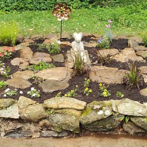 Rock_Garden_07_07_25.jpg