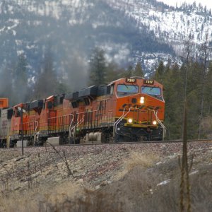 bnsf7317.jpg