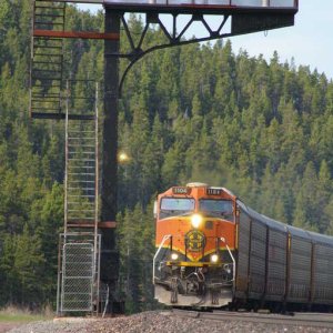 bnsf1104-10.jpg