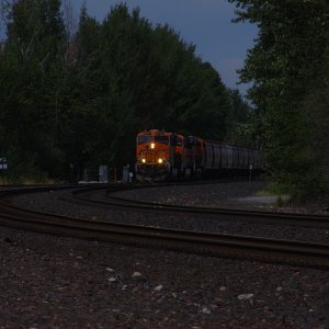 IMGP1191.JPG