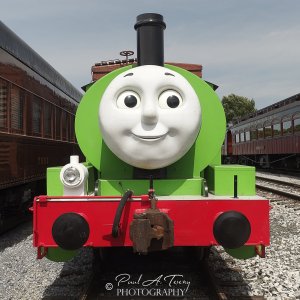PAT83901-ORF Cr.jpg