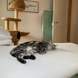 IMG_0112.JPEG