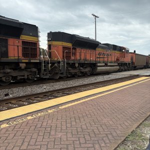 IMG_0024.jpeg