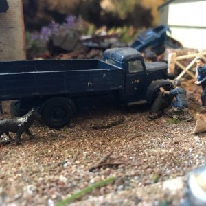 IMG_0316.JPEG