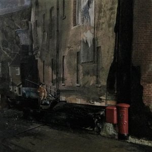 Evening at Clarence Dock.jpg