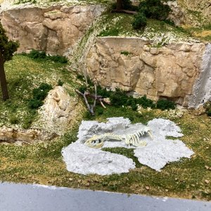 IMG_0345.JPEG