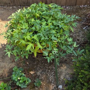 image000000 (2).jpg