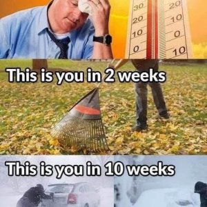 IMG_1989.jpeg