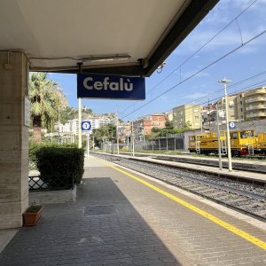 IMG_7853.jpeg
