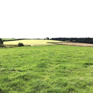 Fields.JPEG