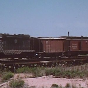 train3.jpg