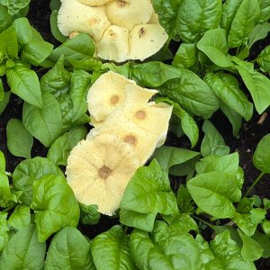 image000000 (2).jpg
