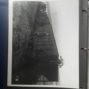 IMG_9747.jpeg