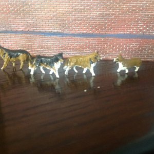 IMG_1190.jpeg