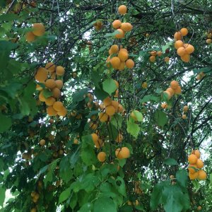 IMG_6167.jpeg