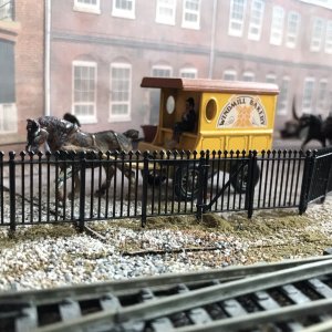 IMG_0503.JPEG