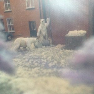 IMG_9249.jpeg