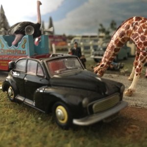 IMG_7095.jpeg