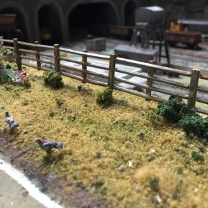 IMG_5483.jpeg