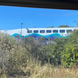 IMG_7194.jpeg