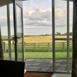 Looking Out.jpg