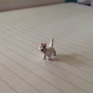 IMG_4445.jpeg